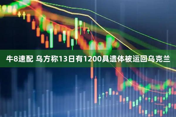 牛8速配 乌方称13日有1200具遗体被运回乌克兰