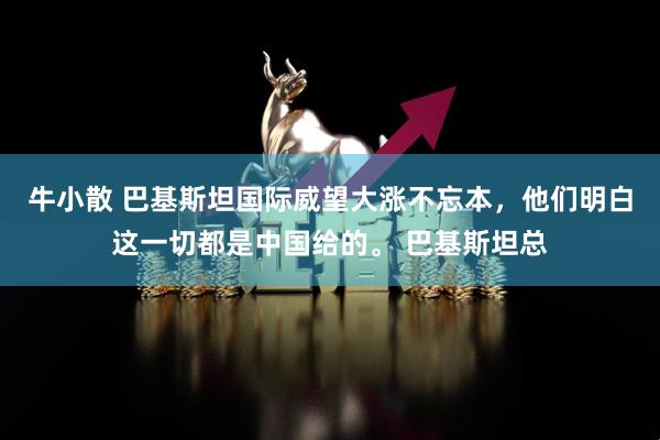 牛小散 巴基斯坦国际威望大涨不忘本，他们明白这一切都是中国给的。 巴基斯坦总